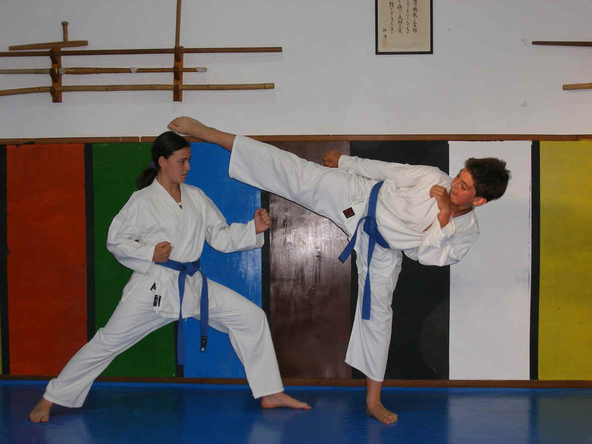 Karate_2007.JPG (197275 bytes)